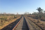 Ferrovia Norte-Sul e o cerrado