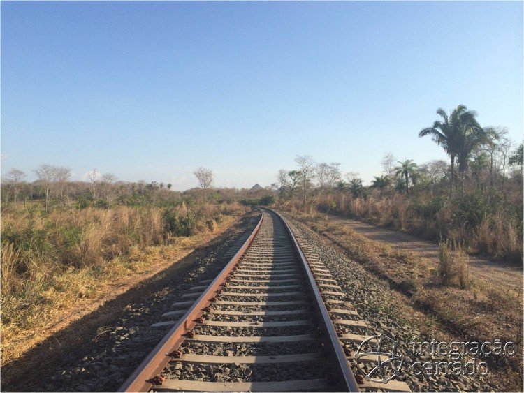 Ferrovia Norte-Sul e o cerrado